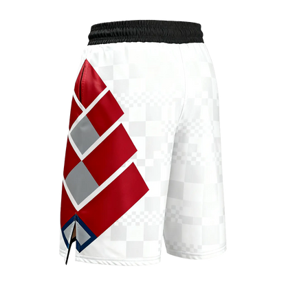 Custom Checker MMA Shorts